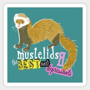 Mustelids are The best antidepressants Magnet